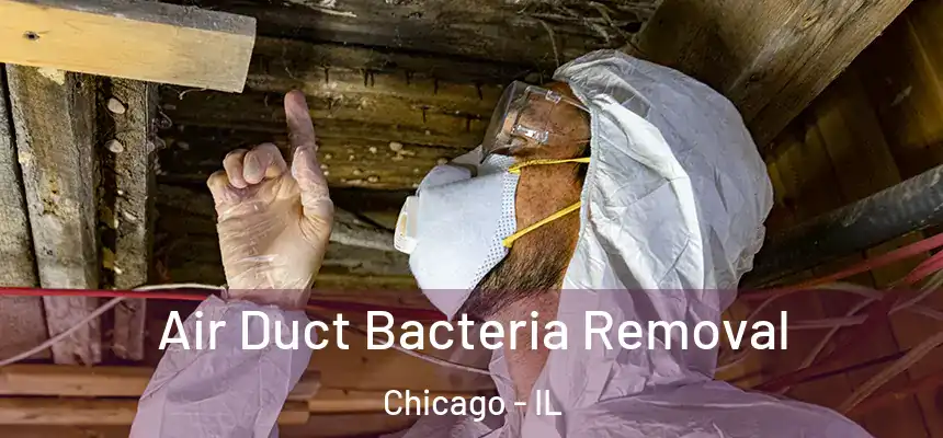  Air Duct Bacteria Removal Chicago - IL