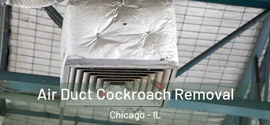  Air Duct Cockroach Removal Chicago - IL