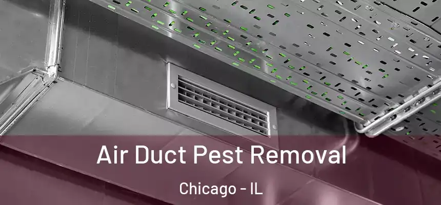  Air Duct Pest Removal Chicago - IL