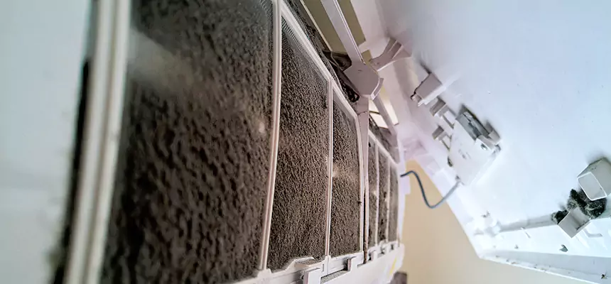 Preventive Air Duct Bacteria Removal in Chicago