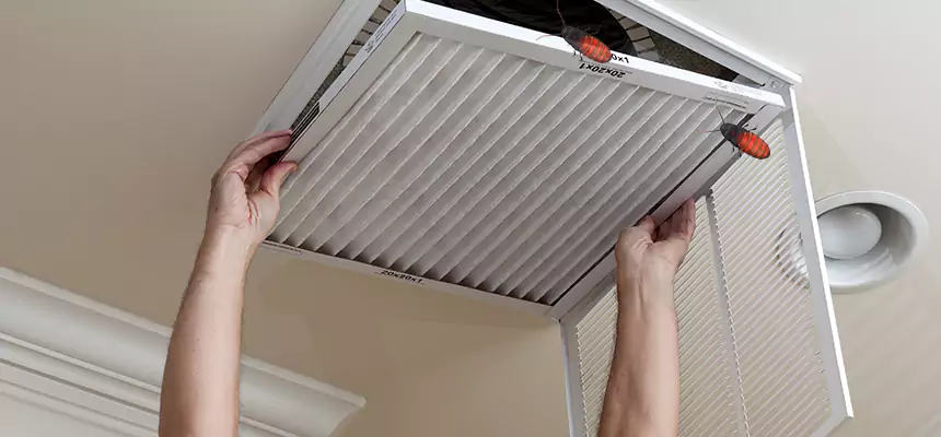 Preventive Cockroach-Proofing for Ducts in Chicago
