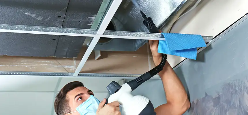 Our Air Duct Rodent Removal Services in Chicago, IL