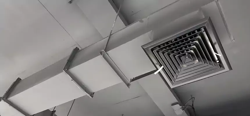 Our Rodent Droppings In Vents Services in Chicago, IL