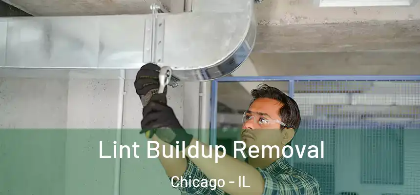  Lint Buildup Removal Chicago - IL