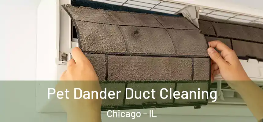  Pet Dander Duct Cleaning Chicago - IL