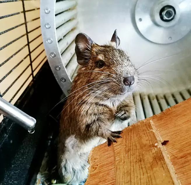 Why Homeowners & Businesses Trust Us Chicago, IL