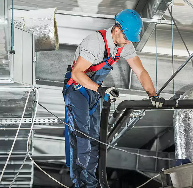 Why Homeowners & Businesses Trust Us in Chicago, IL?