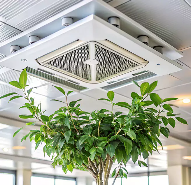 Why Homeowners & Businesses Trust Us in Chicago, IL?