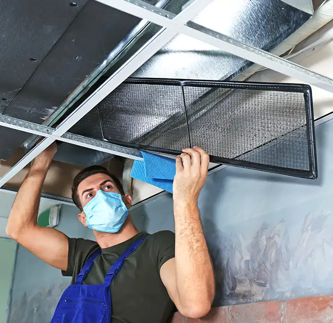 Why Homeowners & Businesses Trust Us in Chicago, IL?